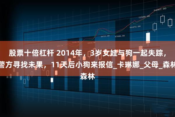 股票十倍杠杆 2014年，3岁女娃与狗一起失踪，警方寻找未果，11天后小狗来报信_卡琳娜_父母_森林