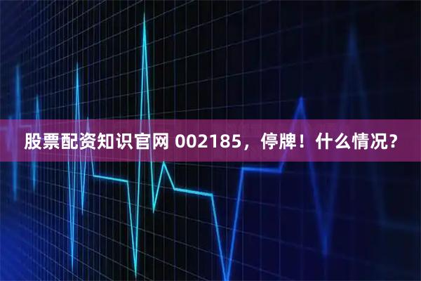 股票配资知识官网 002185，停牌！什么情况？