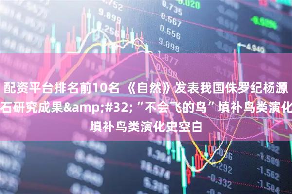 配资平台排名前10名 《自然》发表我国侏罗纪杨源鸑鷟化石研究成果 “不会飞的鸟”填补鸟类演化史空白